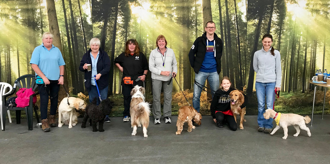 Adult dog training class